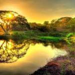 téléchargement (3)