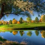 téléchargement (5)